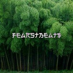 FEARSTbeats - Hara