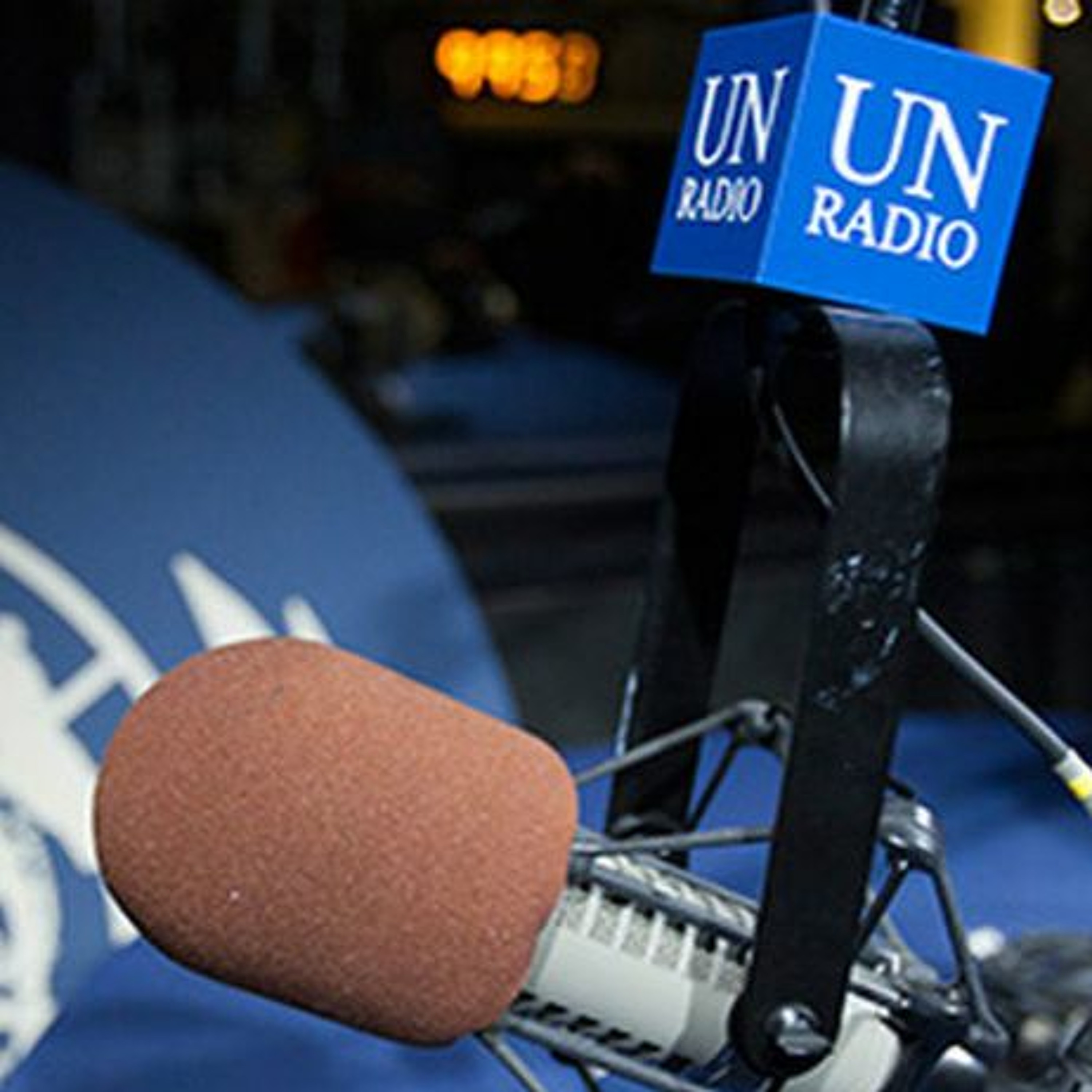 Jornal da ONU - 11 de dezembro de 2024 episode artwork