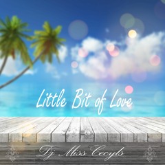 DJ MISS CECYLS / LITTLE BIT OF LOVE
