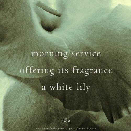 Fragrance - (naviarhaiku519)