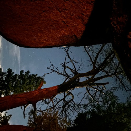 Kritter Adventures 006