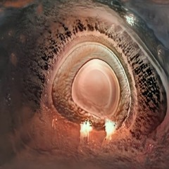 Out Of The Sphere Of Man