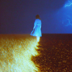 Silenzio d'Ambra