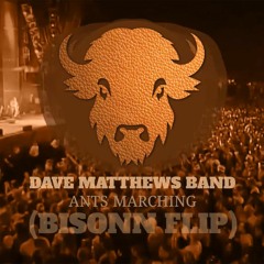 Dave Matthews Band - Ants Marching (Bisonn Flip)