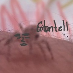 Porque tú? - NGAXXION