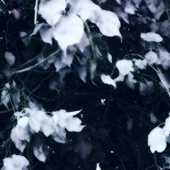 scenery