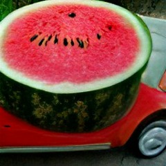 uncle watermelon - backseat (prod. north x kiva)