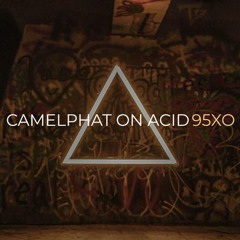 Camelphat on Acid