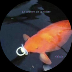 Le saumon de la rivière ( ahmad R )