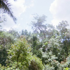 slaveMan  (KamarSun)