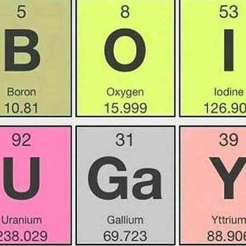 what gender are you attracted to meme