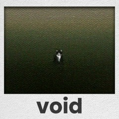 Void