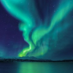 Nocturnal Lights