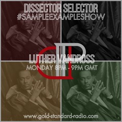 SAMPLE EXAMPLE SHOW: LUTHER VANDROSS