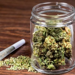 Bomb Weed (interlude)