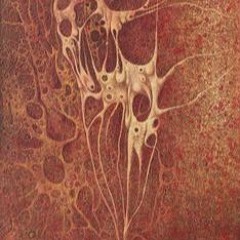 Birth of other worlds -A