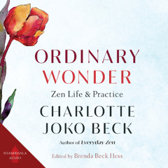 Ordinary Wonder audiobook sample