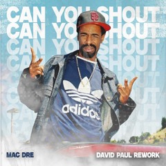 Can You Shout (David Paul Rework)