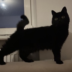 Meow