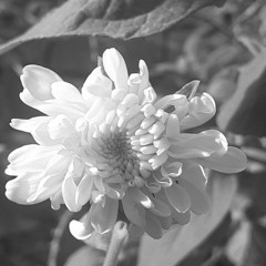 SAINt JHN – Sucks to Be You