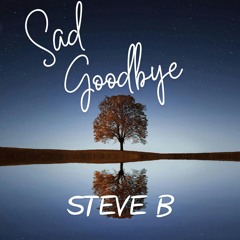 SAD GOODBYE- STEVE B