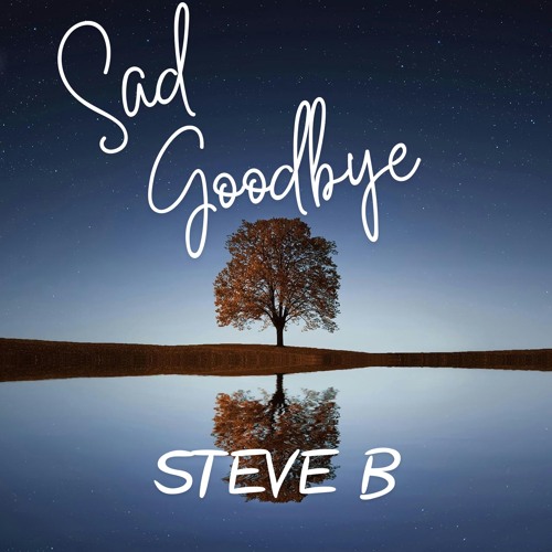 SAD GOODBYE- STEVE B