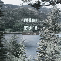 Wandering Distraction