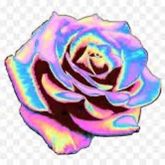 Lemon and Rose