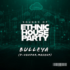 D-Vandor - Bulleya (Mashup) | Sounds of Ethnic House Party