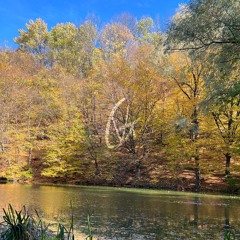 Lakes