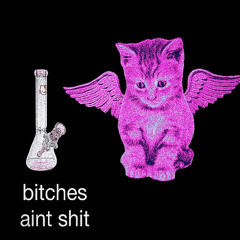 stupid fucking demo