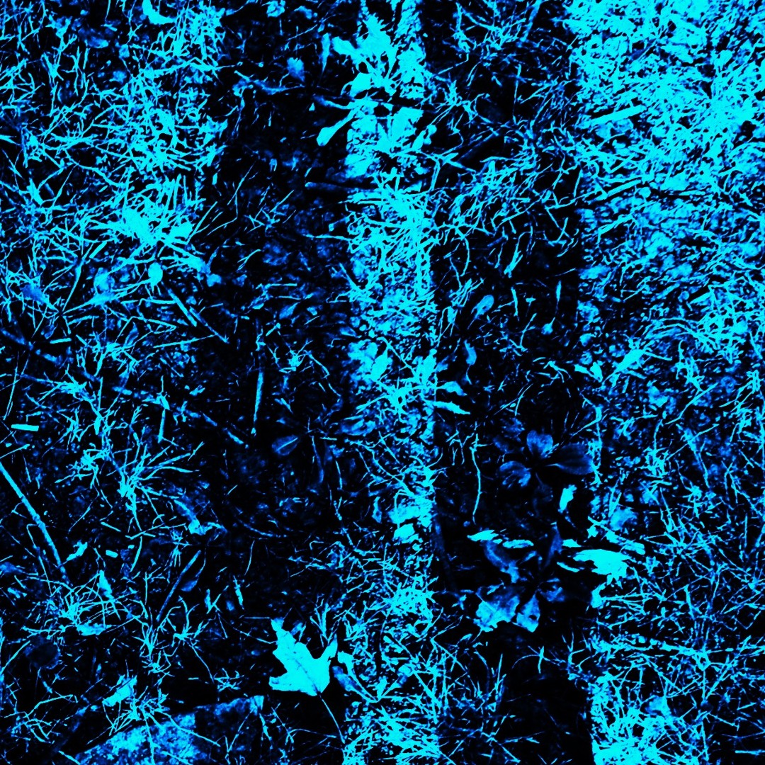 Life Tracks (For Worse Edit)