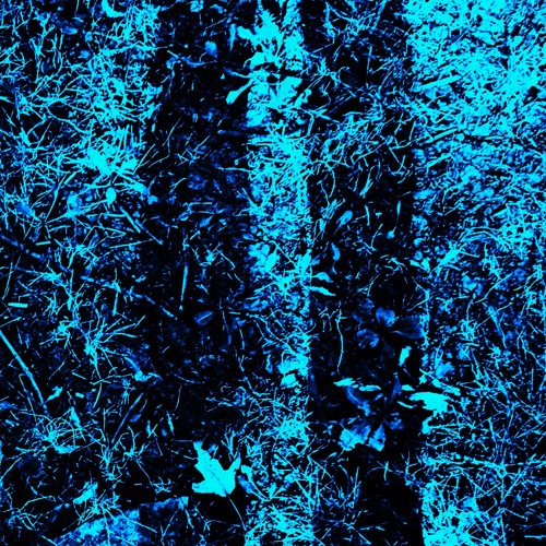 Life Tracks (For Worse Edit)