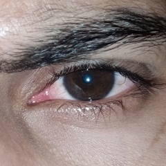 PAST - SIDHU MOOSEWALA (AI VOICE)