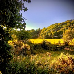 StaringAtTheSky - Beat