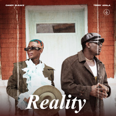 Reality (feat. Terry Apala)