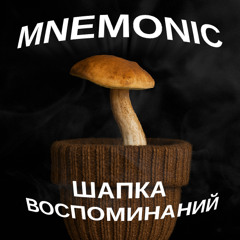 Шапка Воспоминаний