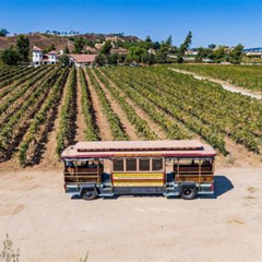 Review Special Price All-Inclusive Social Wine Tour