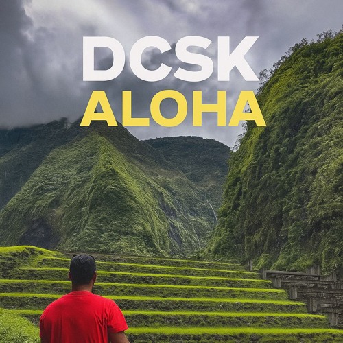 Infernal Afro Aloha - DCSK