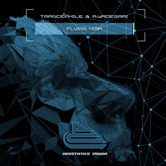 Flying High (Extended Mix)