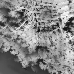 distance - slowed + reverb