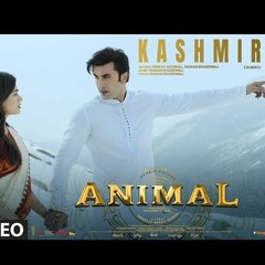ANIMAL_KASHMIR_Ranbir_Kapoor