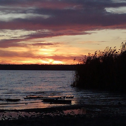 Satelibra - Нібіру