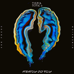 Ready To Fly - Sub Focus & Dimension (Ties van Dun Summer Techno Remix)