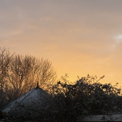 RISINGSUN