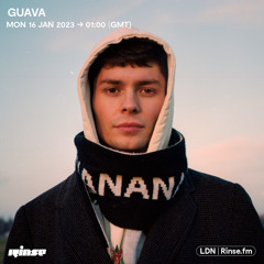 Guava - 16 January 2023