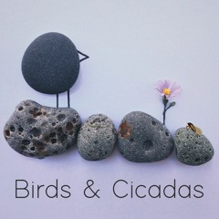 Birds and Cicadas