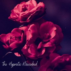 The Hypnotic Flowerbed (Idea Sample)