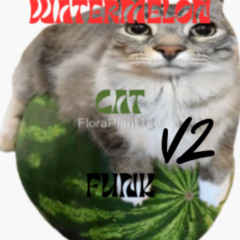 WATERMELON CAT FUNK V2