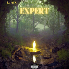 Lord X - Expert